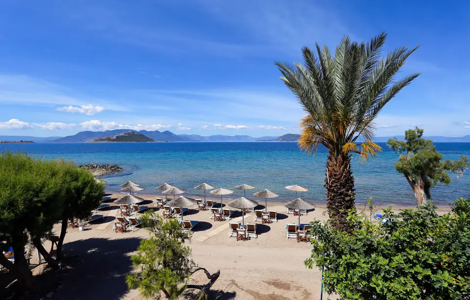 Θέα στη θάλασσα από τα Aegina Beach Apartments στον Μαραθώνα