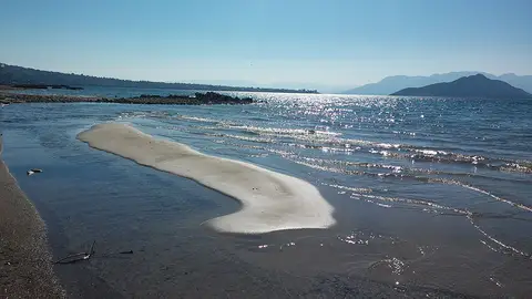 Golden sand on Marathonas beach